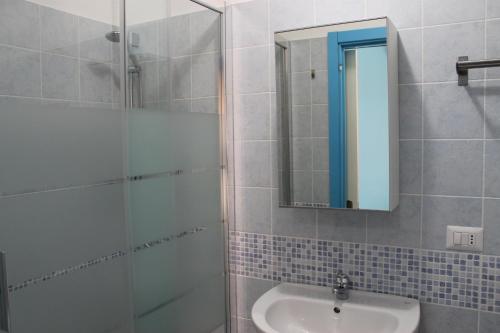 杰拉Bed & Breakfast 21的带淋浴、盥洗盆和镜子的浴室