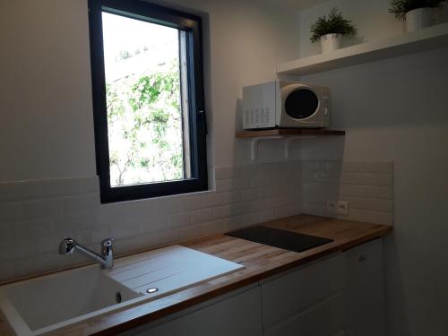 鲁昂Studio avec jardin et stationnement gratuit à Rouen的厨房设有水槽和窗户。