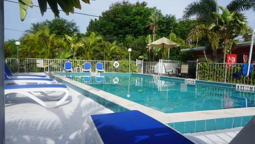 马拉松马拉松海戴尔汽车旅馆 的一个带蓝色椅子和树木的大型游泳池