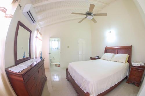 曼米湾Hibiscus Villa @ DraxHall的一间卧室配有一张床和吊扇