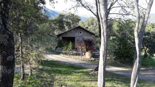GavilanesCasa rural La Borriquita的森林中间的一座老房子