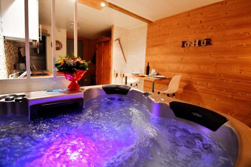 于埃Le Skidoux的客房内的紫色浴缸