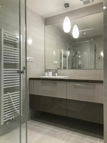比尔森apartmán Poděbradka的一间带水槽和镜子的浴室