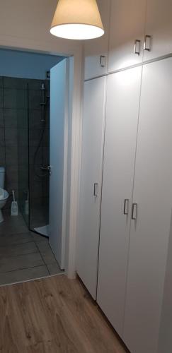 佩托莫城市公寓的一间浴室