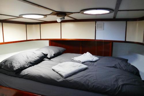鹿特丹Boathotel Rotterdam Wilhelmina的一张位于房间的床,上面有两个枕头