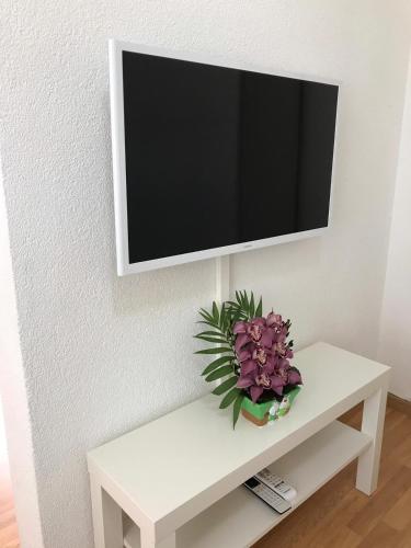 温特图尔1,5 Zimmer Appartement的白色桌子上的电视,上面有植物