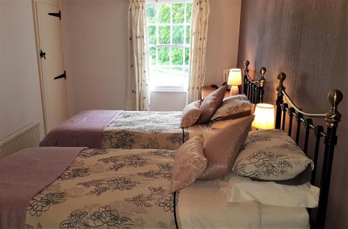 AshwellthorpeThe Pelican Guesthouse的一间卧室配有两张带枕头的床和窗户。