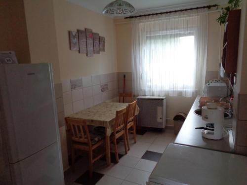 豪伊杜索博斯洛Otthon Apartman的厨房配有桌椅和冰箱。