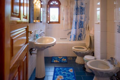 塞萨洛尼基Villa Ampelos的一间带水槽和卫生间的浴室