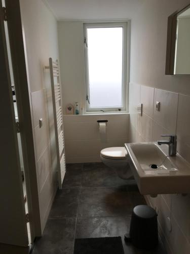 滨海卡特韦克Kamers van Goud的一间带卫生间、水槽和窗户的浴室