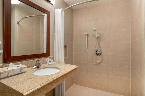 Comfort Inn & Suites Port Arthur-Port Neches的一间浴室