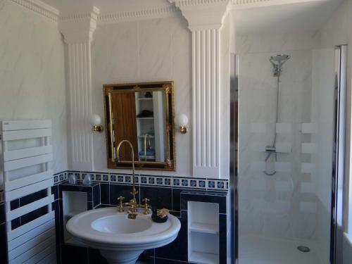 勒比格多梅因贝飒德旅馆 的一间带水槽和淋浴的浴室