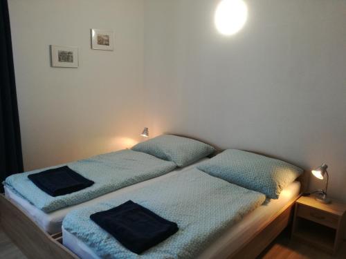 米库洛夫Penzion Muškát的卧室内两张并排的床