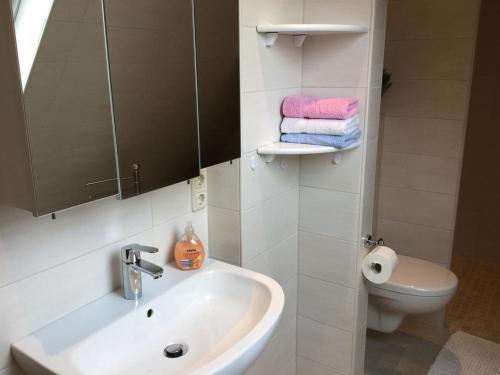 塔廷格Haus Fabricius的浴室配有盥洗盆、卫生间和毛巾。