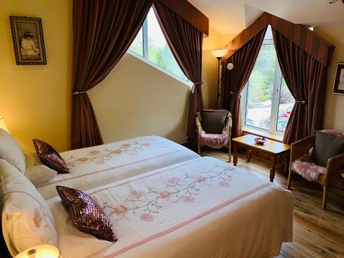 威克洛Wicklow Way Lodge的酒店客房带两张床和两个窗户