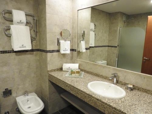 布宜诺斯艾利斯Konke Buenos Aires Hotel的一间带水槽、镜子和卫生间的浴室