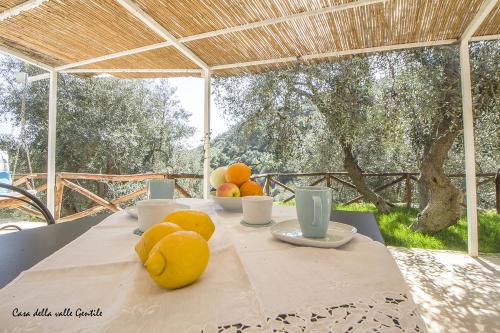 马蒂纳塔Casa della Valle Gentile的桌子上放着橙子和杯子