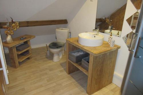 圣莱奥纳尔Le Seringat的一间带水槽和卫生间的浴室