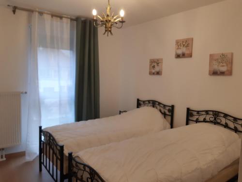 斯特拉斯堡Le Carré Confidentiel的一间卧室配有两张床和吊灯。