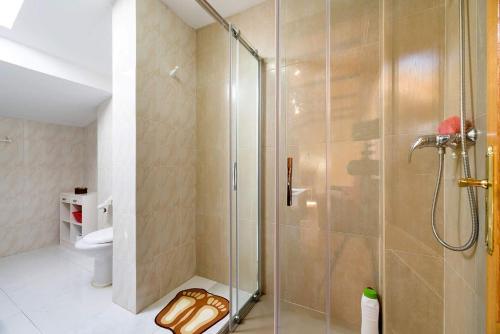 阿尔苏阿Buen Camino - Arzúa Centro的带淋浴的浴室和玻璃门
