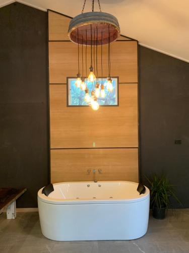 霍尔斯加普洛克斯公寓的配有吊灯的客房内的浴缸
