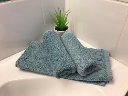 海伊科布因兰德尔汽车旅馆的两条毛巾坐在盥洗盆旁的浴室台上