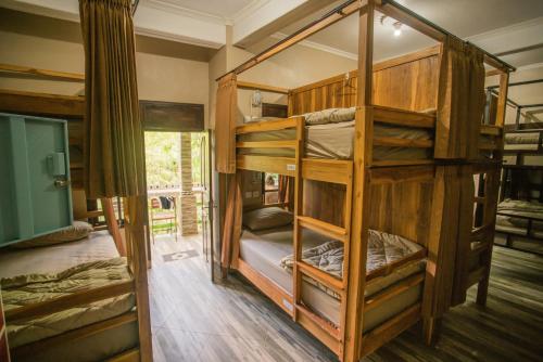 WW背包客旅舍客房内的一张或多张双层床