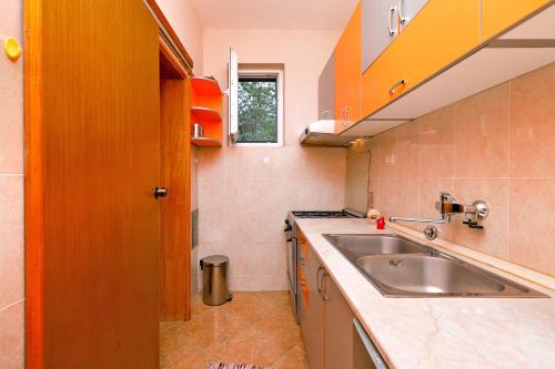 科托尔Apartments Jankovic的一个带水槽和柜台的小厨房