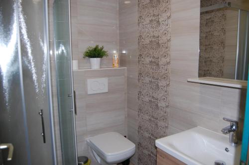 普图伊Rooms Hiša Divino的浴室配有卫生间、淋浴和盥洗盆。