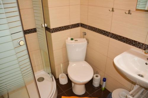 尤斯托尼莫斯基U Gosa的一间带卫生间和水槽的小浴室