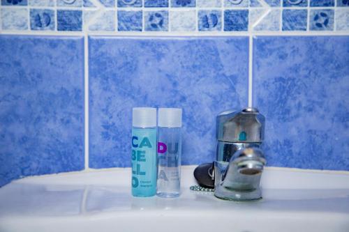 圣地亚哥海滩海鸥旅馆的浴室水槽配有两瓶肥皂和水龙头