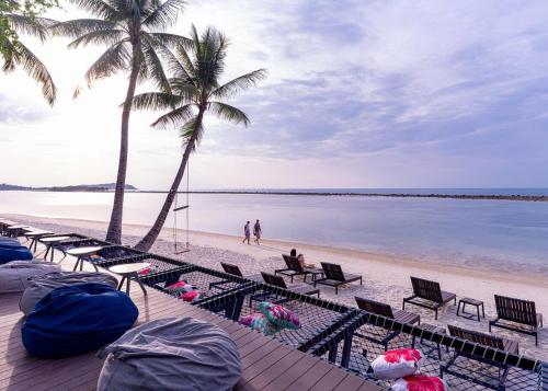 查汶Lub d Koh Samui Chaweng Beach的一片带椅子和棕榈树的海滩