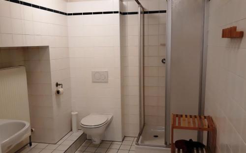 克洛斯特新堡Stifts-Suite的一间带卫生间和淋浴的浴室