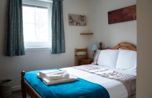 波特里Apartment 2, Pheonix Flats的一间卧室配有一张带蓝色毯子的床和窗户。