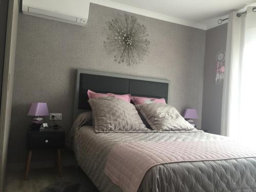 GaronsChambre avec charme的卧室配有一张带粉红色枕头的大床