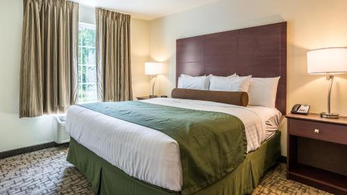 格林维尔鹅卵石酒店及套房 - 格林维尔的一间设有大床和窗户的酒店客房
