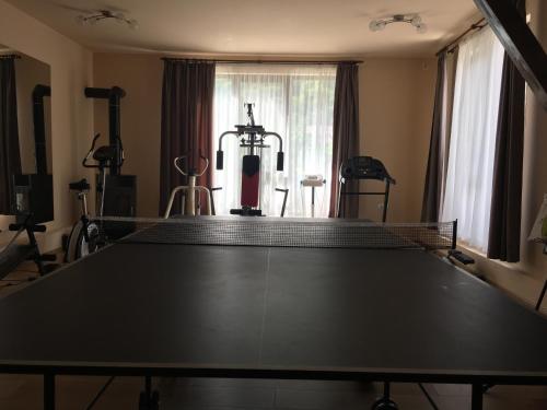 伯伊莱海尔库拉内Pensiunea JOJO的一个带健身器材的室内乒乓球桌