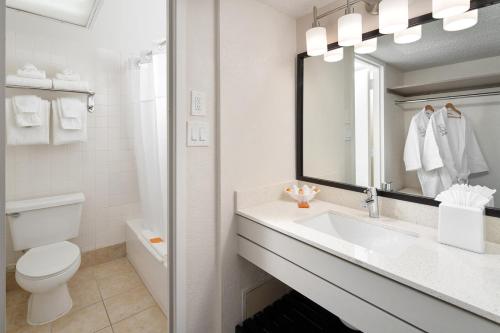 奥兰多阿凡提棕榈度假酒店的一间带水槽、卫生间和镜子的浴室