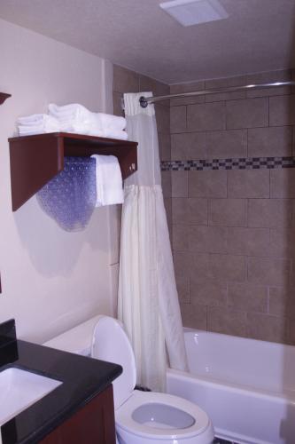 阿兰瑟斯港阿兰萨斯港美洲最佳价值旅馆的浴室配有卫生间、盥洗盆和淋浴。