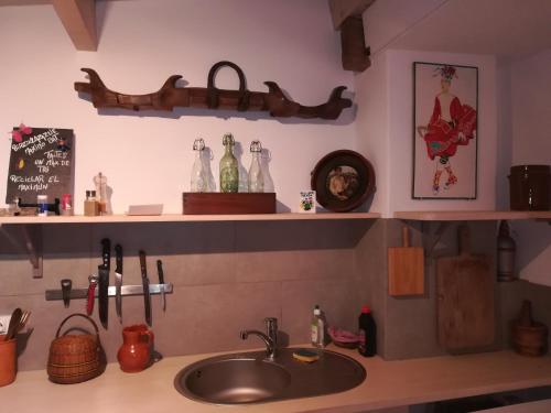 圣艾蒂安德拜戈里Chambres d'Hôtes Agorerreka的厨房柜台设有水槽和架子