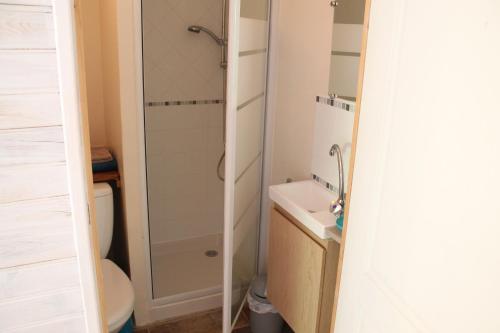 勒博塞Petit chalet climatisé avec jacuzzi privé的带淋浴、盥洗盆和卫生间的浴室