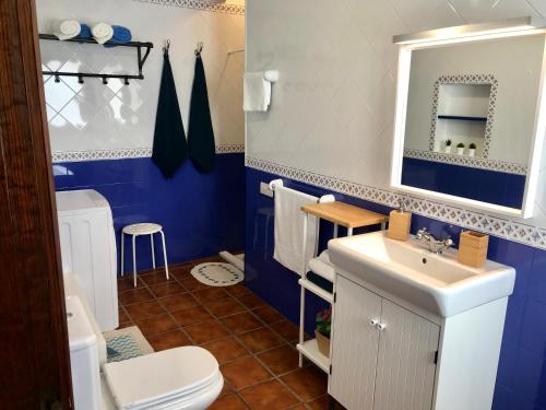奥尔索拉Casa El Charco的蓝色的浴室设有水槽和卫生间