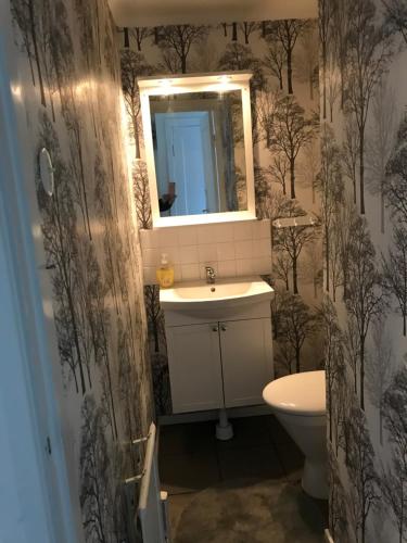 KisaYxefall Norrgården的一间带水槽、镜子和卫生间的浴室