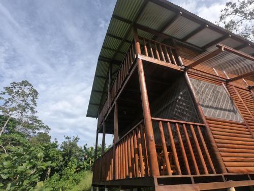 萨拉皮基Eco Guest House - Sarapiquí 1的森林中带阳台的树屋