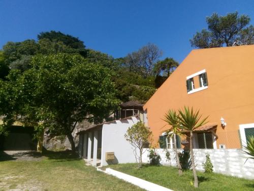 辛特拉Villa in Sintra - Casa da Penha Ferrim的院子里有树的房子