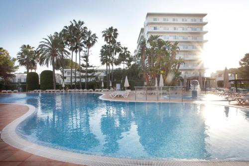 帕尔马海滩Oleander的一个大型游泳池,酒店背景