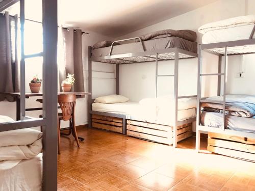 阿尔雅豪旅舍客房内的一张或多张双层床