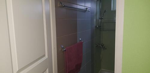 哈普萨卢Haava Apartment的浴室设有玻璃淋浴间和红色毛巾