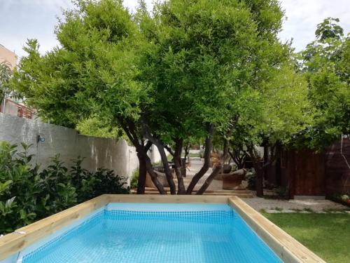 托雷安农齐亚塔Villa Marcello的一座树木繁茂的庭院内的游泳池