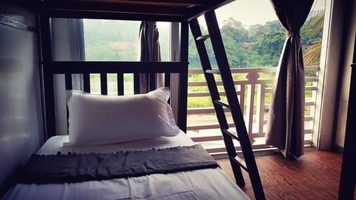 瓜拉大汉Wild Lodge Taman Negara的一张位于带大窗户的房间内的床铺